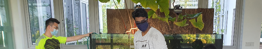 _banner