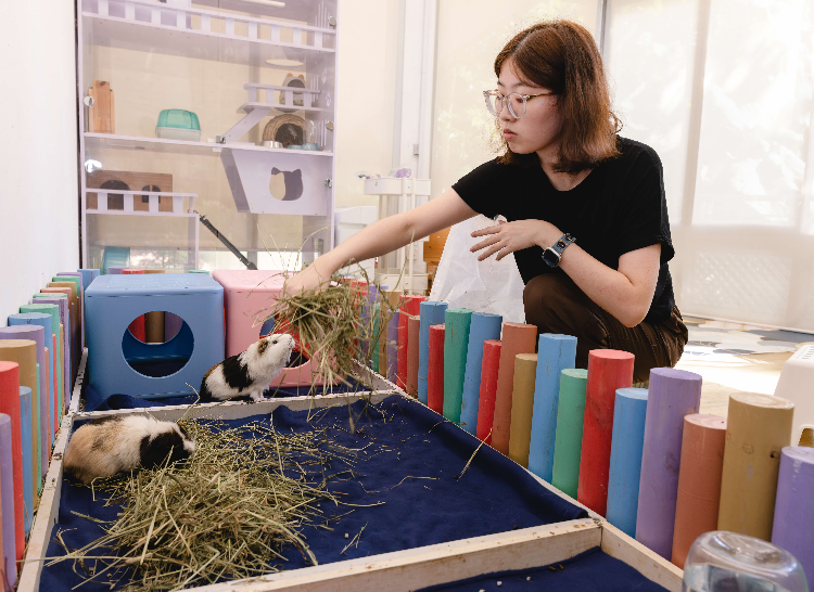 AVS Animal Classroom Caregiver (July - September 2026)